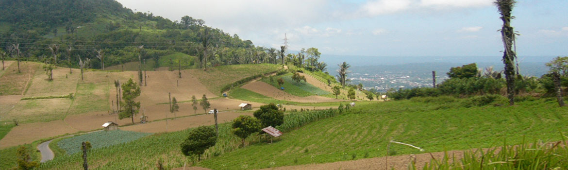 Sulawesi